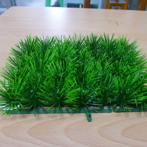 景觀草 , 同育展業有限公司