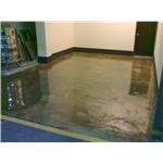 Epoxy-亮面 , 旭隆工程有限公司