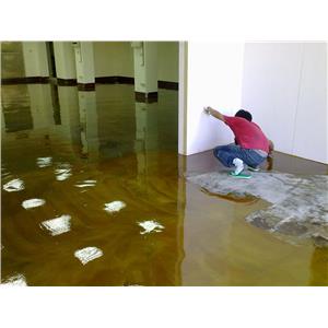 Epoxy-亮面 , 旭隆工程有限公司