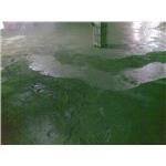 整體粉光-金鋼砂 , 旭隆工程有限公司