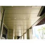 住宅入口門廳  溝縫式暗架鋁板天花 - 揚名興業股份有限公司