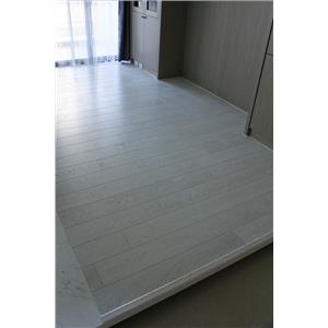 遠景系列 白晶崖豆木 UF1300