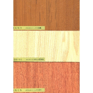 頂級浮雕手工塗裝-2 , 弘棨建材有限公司