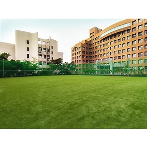 運動護網 , 開旭專業圍網有限公司