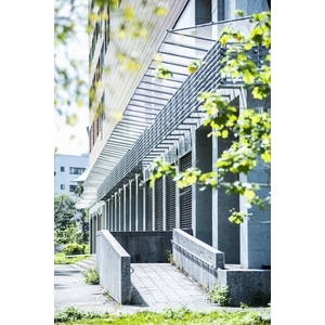 和平實驗國小防-磁磚墜落網