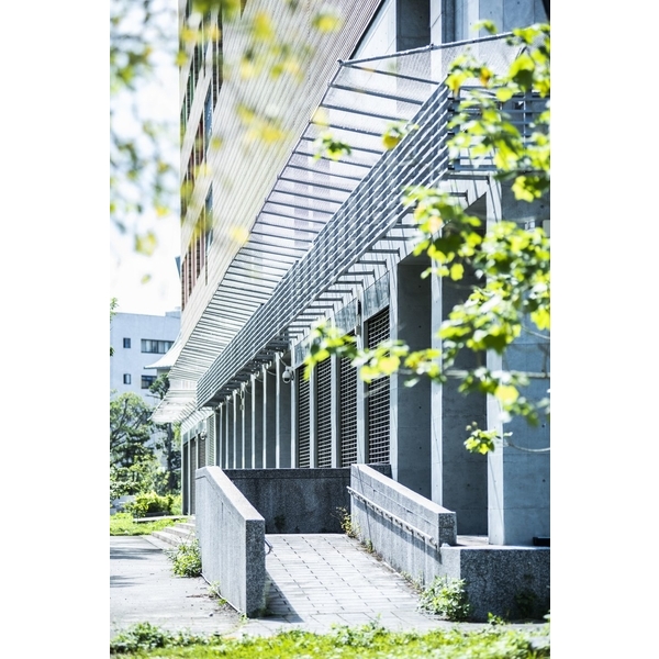 和平實驗國小防-磁磚墜落網,開旭專業圍網有限公司