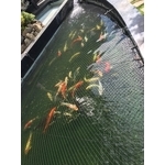 大雅維明-魚池護網 - 開旭專業圍網有限公司