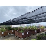 士林區公所-遮陽網 - 開旭專業圍網有限公司