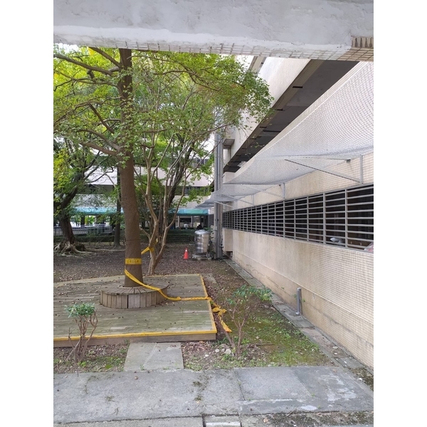 福安國民中學-防磁磚墜落網-開旭專業圍網有限公司