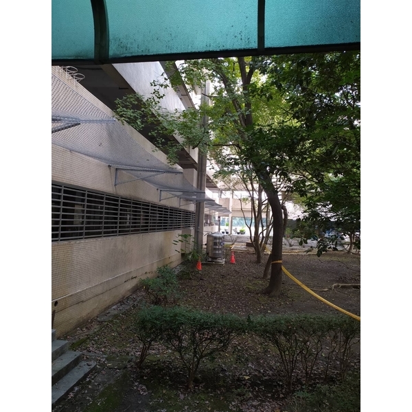福安國民中學-防磁磚墜落網-開旭專業圍網有限公司