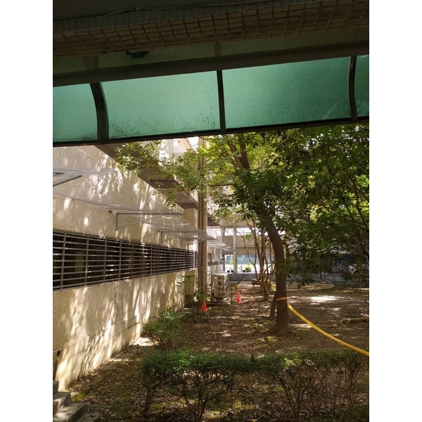 福安國民中學-防磁磚墜落網-開旭專業圍網有限公司