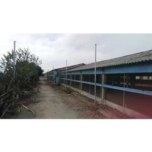 雲林雞舍-防鳥網