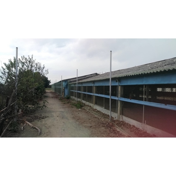 雲林雞舍-防鳥網,開旭專業圍網有限公司
