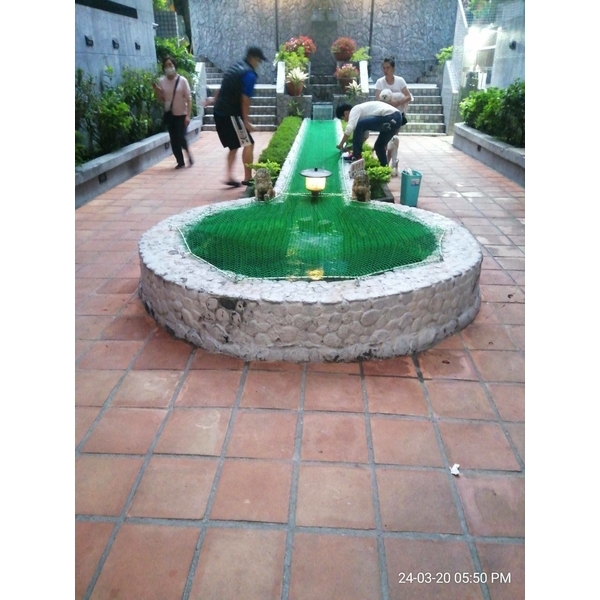 台大新生活-魚池護網