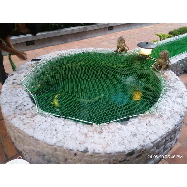 台大新生活-魚池護網