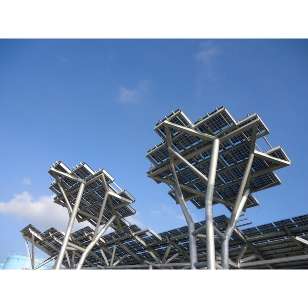 漁港太陽樹,兆坤企業有限公司