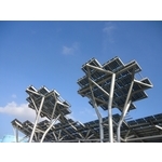 漁港太陽樹 - 兆坤企業有限公司