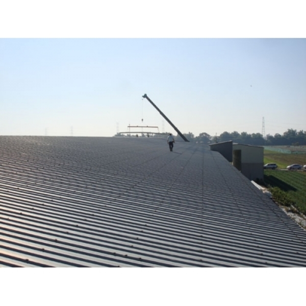 雞舍屋頂加蓋 雞舍屋頂加蓋,兆坤企業有限公司