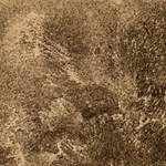 金屬漆_金色(Gold 500) , 明德地坪工程有限公司