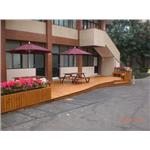 CIMG6230 - 辰緻企業有限公司