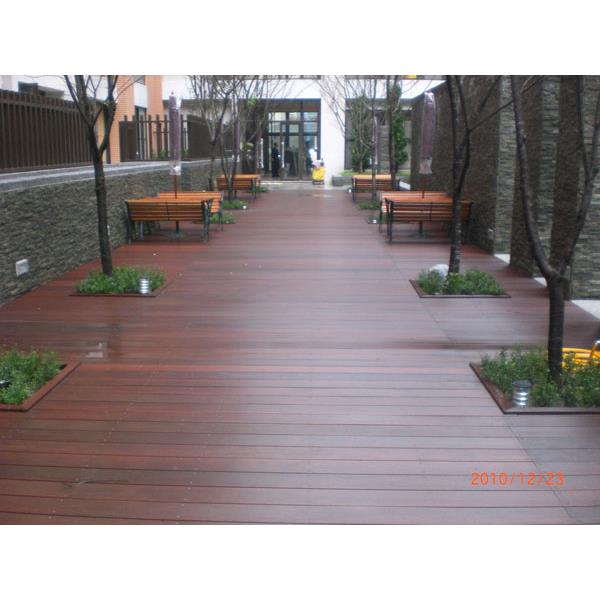 CIMG6321,辰緻企業有限公司