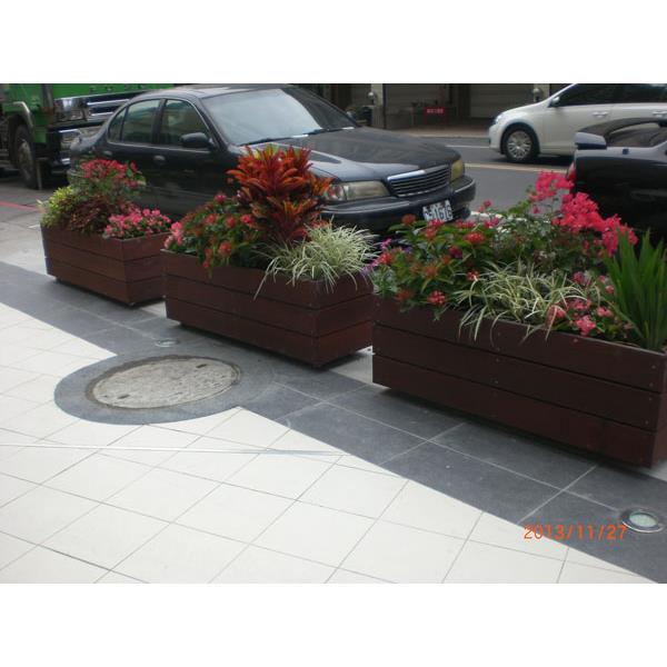 CIMG9542,辰緻企業有限公司