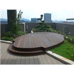 CIMG9898 - 辰緻企業有限公司