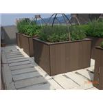 CIMG9884 - 辰緻企業有限公司