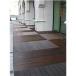 CIMG9502 - 辰緻企業有限公司