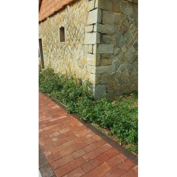 工程實績21,麗石企業股份有限公司