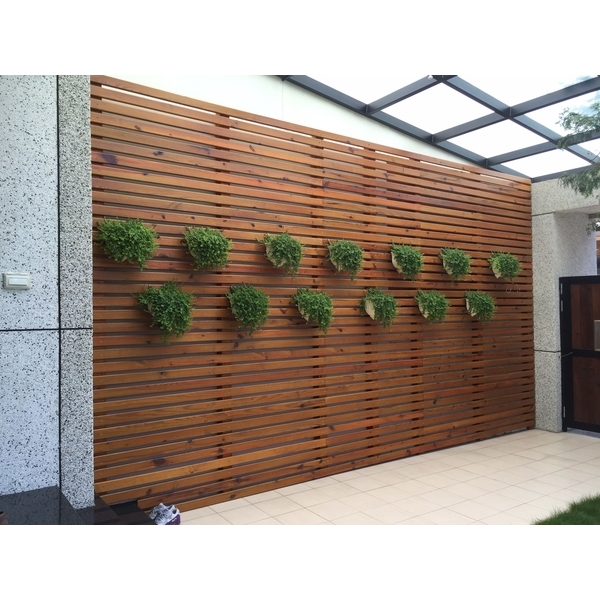 飾板牆,皇家木作工程