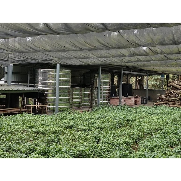 過濾系統,瑋信企業有限公司