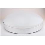 RGBW 可遙控吸頂燈 , 奧立科技能源股份有限公司