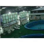 桃園飯店 - 奧立科技能源股份有限公司