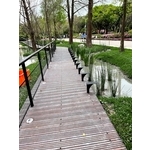 大安森林公園-賞景棧道欄杆