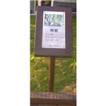 不銹鋼植物解說牌 - 大衛廣告社