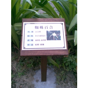 植物解說牌
