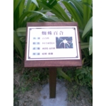 植物解說牌 - 大衛廣告社