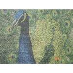 地毯 - 正詠資訊股份有限公司