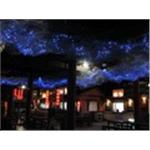 光纖燈 - 光迅光電科技股份有限公司