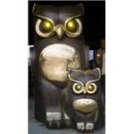 貓頭鷹 - 光迅光電科技股份有限公司