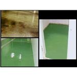 EPOXY工程 - 勇茂工程有限公司