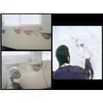 高壓灌注工程、壁癌處理 - 勇茂工程有限公司