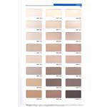 多機能型單層彈性仕上塗材 , 泰盛塗裝工程有限公司