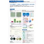 多機能型單層彈性仕上塗材 , 泰盛塗裝工程有限公司