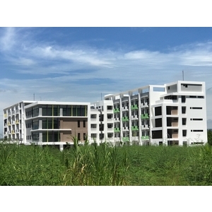 塗裝