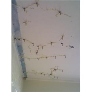 矽酸質系滲透結晶工法