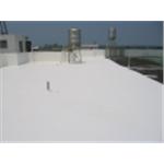 丙烯酸係陰離子複合工法 - 西城開發工程有限公司