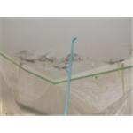 PU發泡高壓灌注 - 西城開發工程有限公司