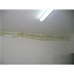 PU發泡高壓灌注 - 西城開發工程有限公司